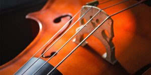 What Are The Strings On a Cello?