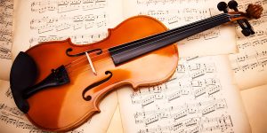 Violin Parts And Components Names