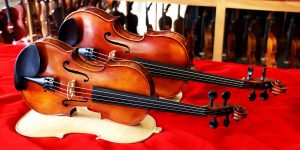 Should I Take Violin Lessons?